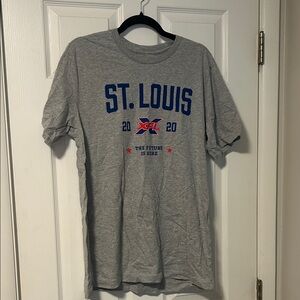 St. Louis Graphic Tee in Gray